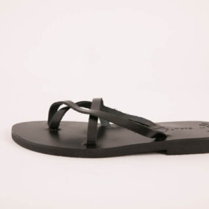 AMPHITRITE - Image 4