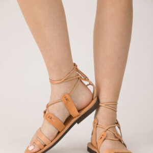 THETIS - Image 4