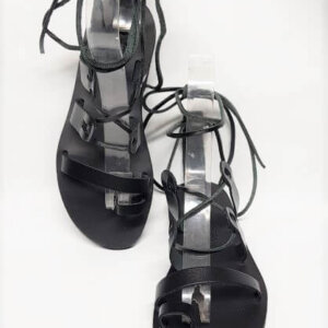 THETIS - Image 6