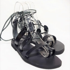 THETIS - Image 5