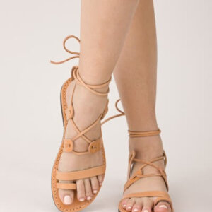 THETIS - Image 3
